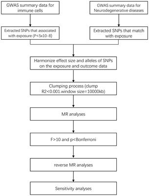 Causal relationship between immune cells and neurodegenerative diseases: a two-sample Mendelian randomisation study